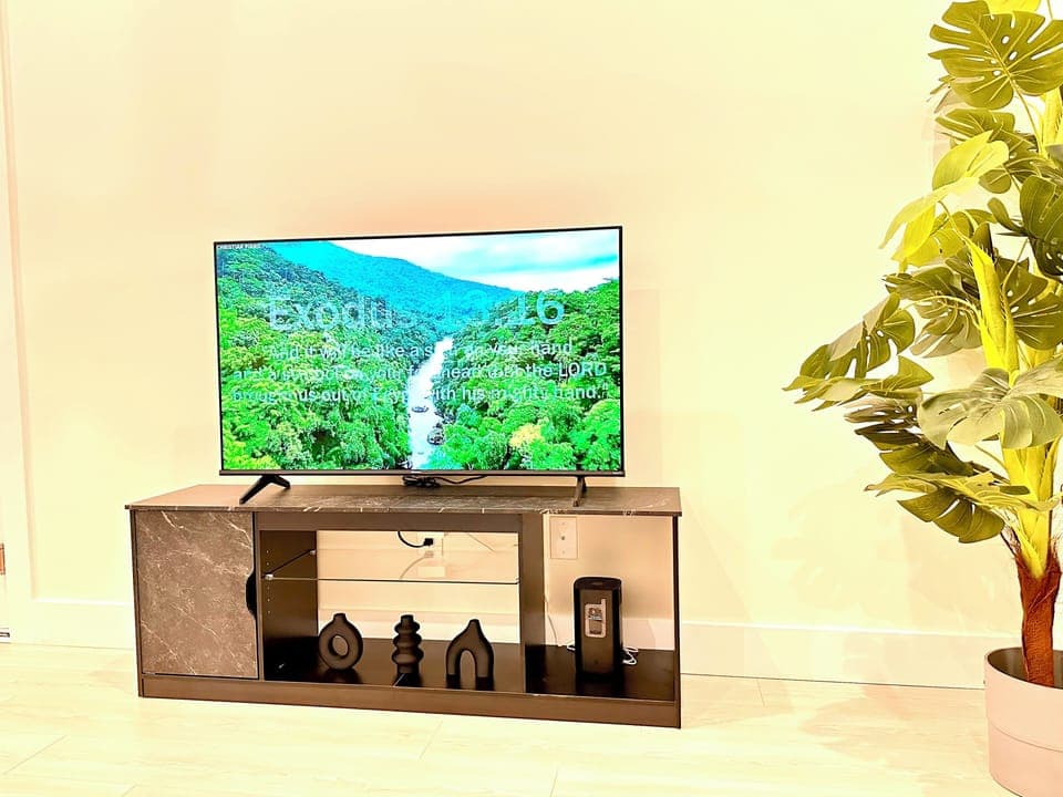 Television