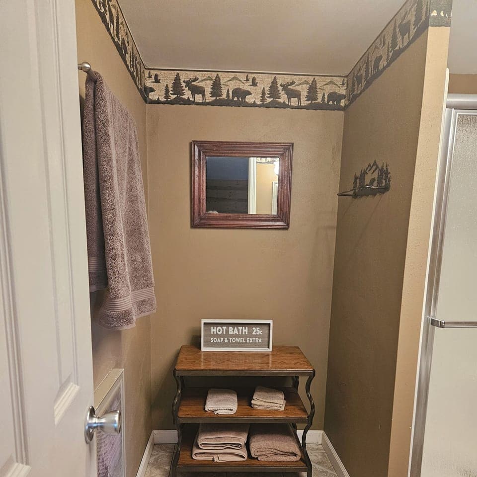 Downstairs bathroom, another view