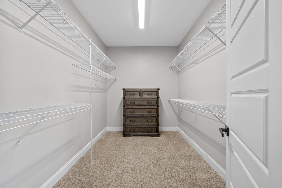 Expansive walk-in closet with built-in shelving and carpeted flooring