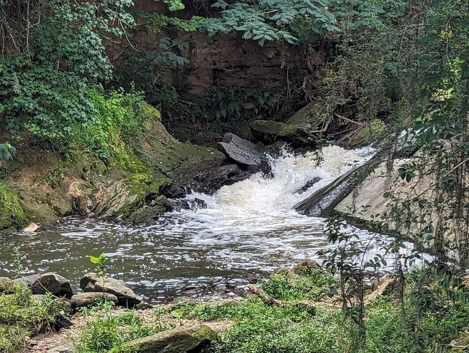 Explore nearby nature and listen to the soothing creek rush.