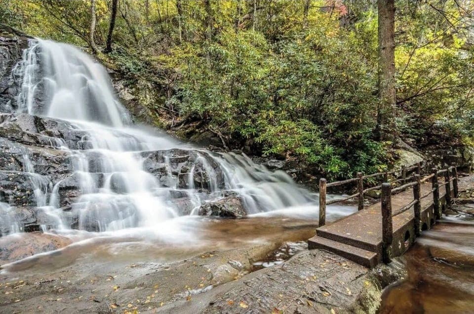 Local attractions!