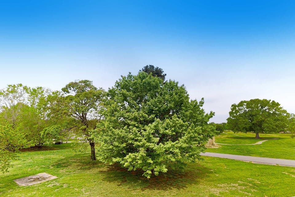 Peaceful green-space views and open lawns room to relax and unwind. Quiet resort-style studio near lakes, walking paths, nature views, perfect for couples, families & long stays.