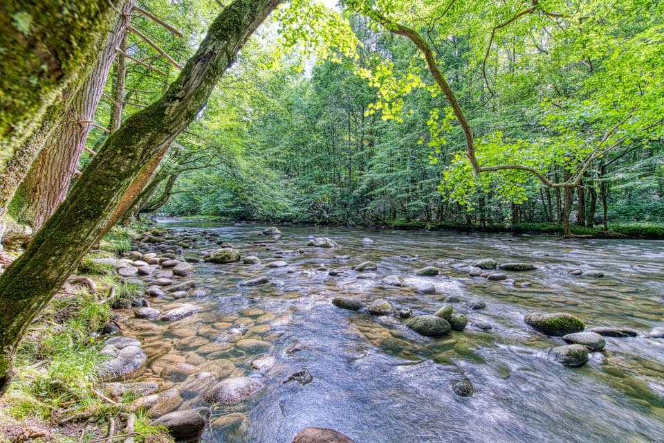 Enjoy the soothing sounds of nature just steps from your door!