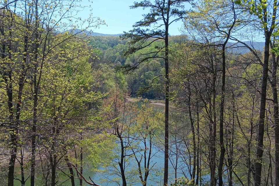 Experience peaceful tranquility with stunning river views and lush greenery!