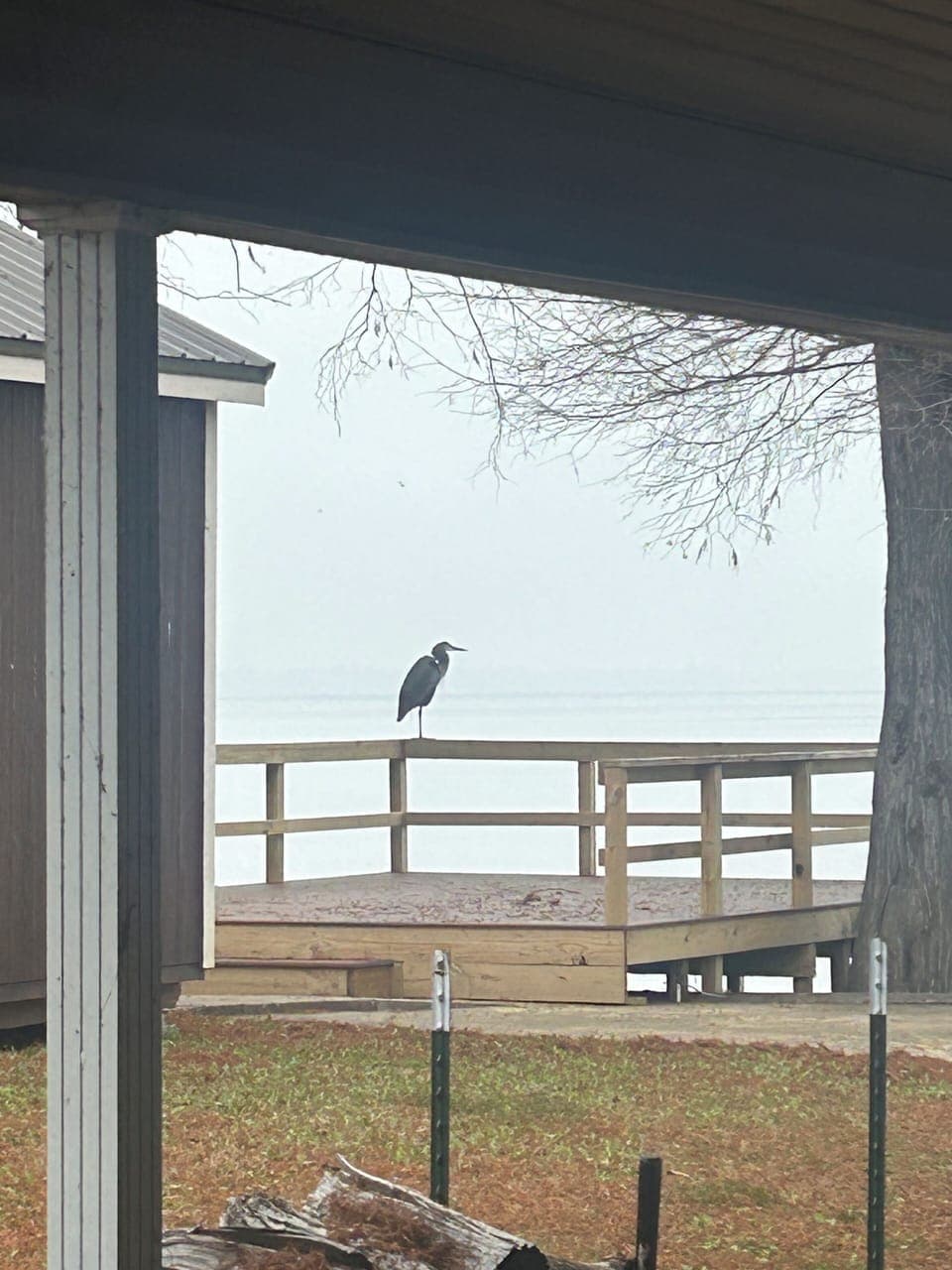 View from property