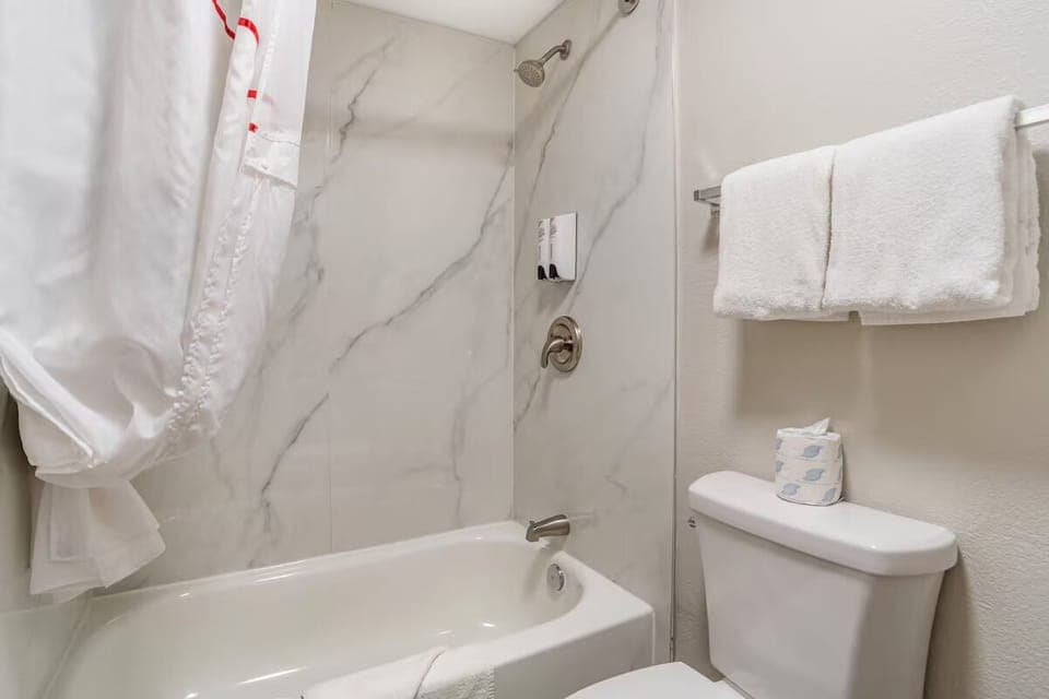 Refresh after travel in a clean, simple, bright bathroom.