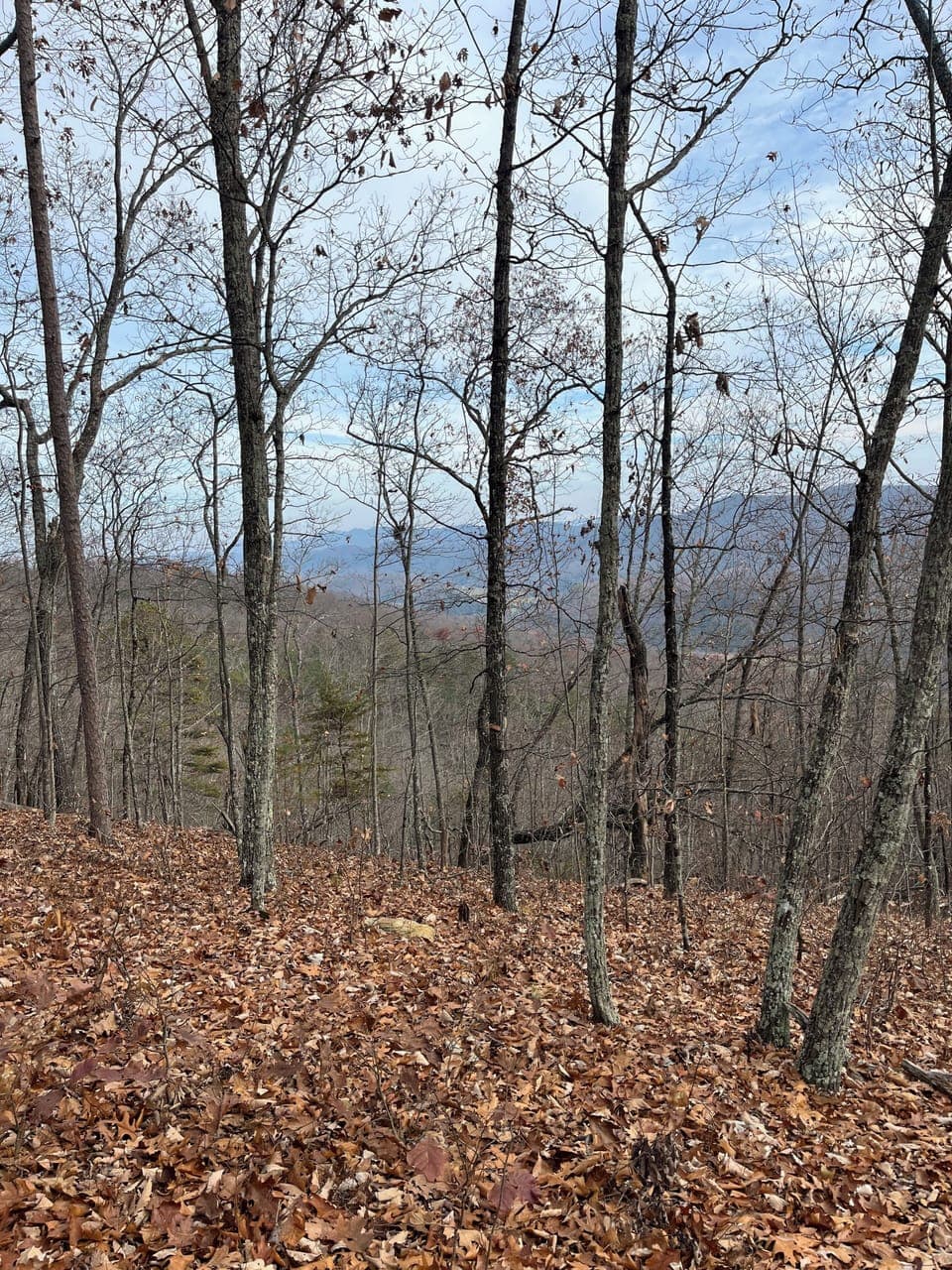 Mountain top view.