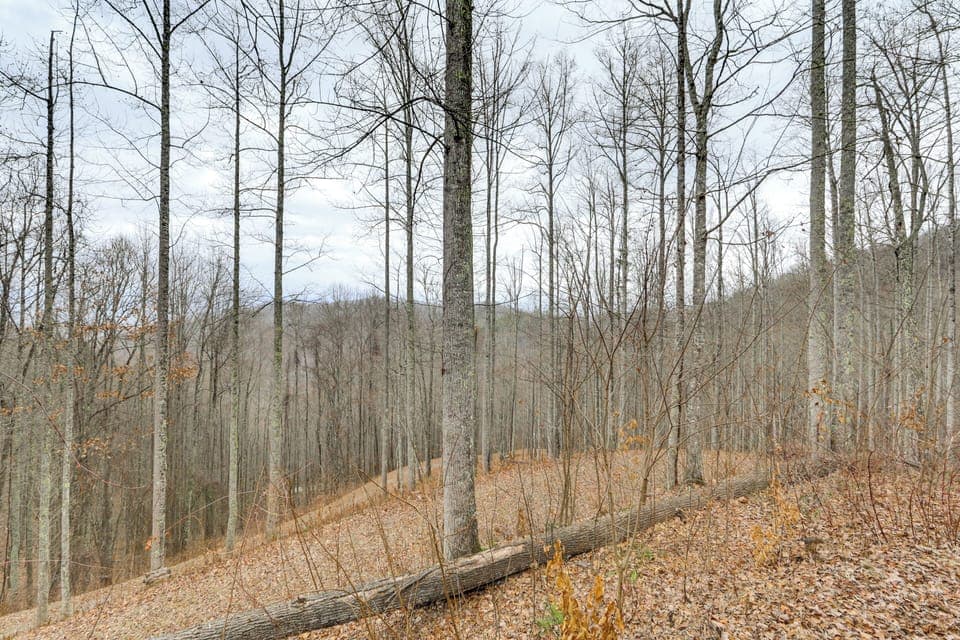 Surrounding Area