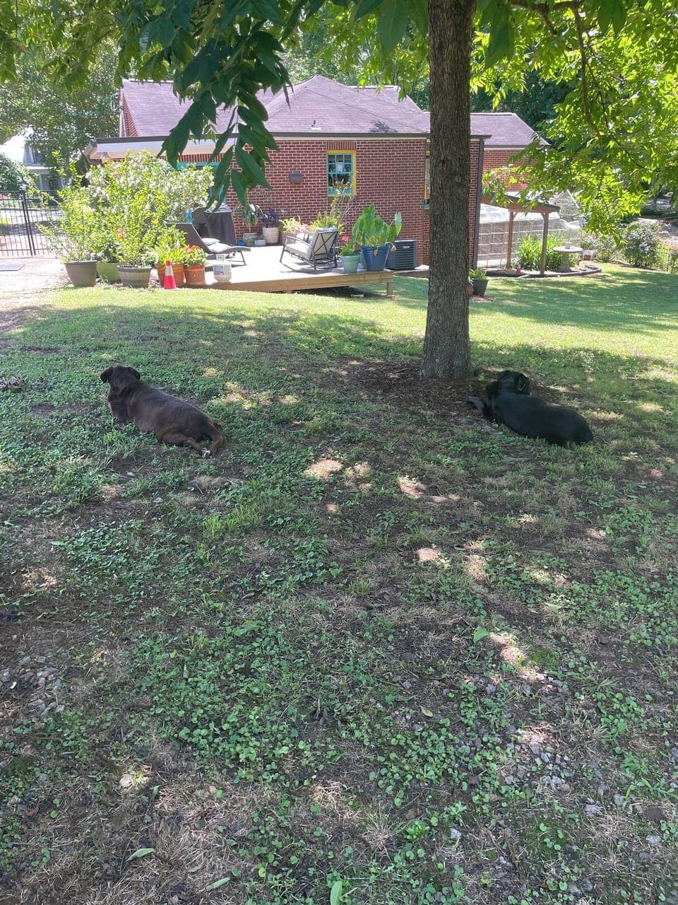 Property grounds