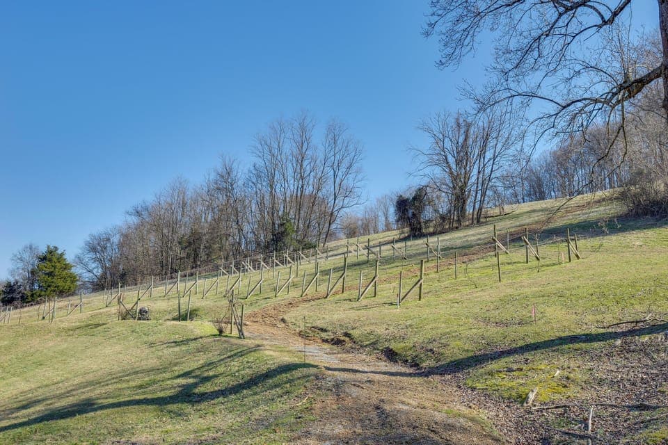 On-Site Vineyard
