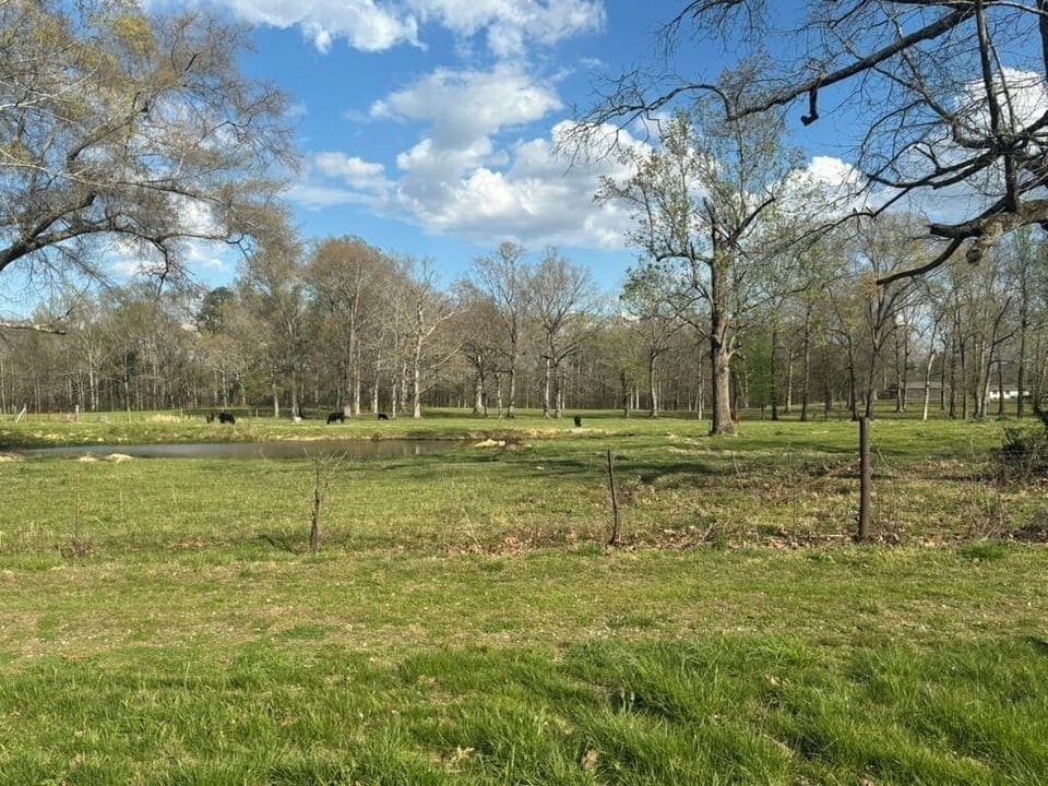 Beautiful field next door