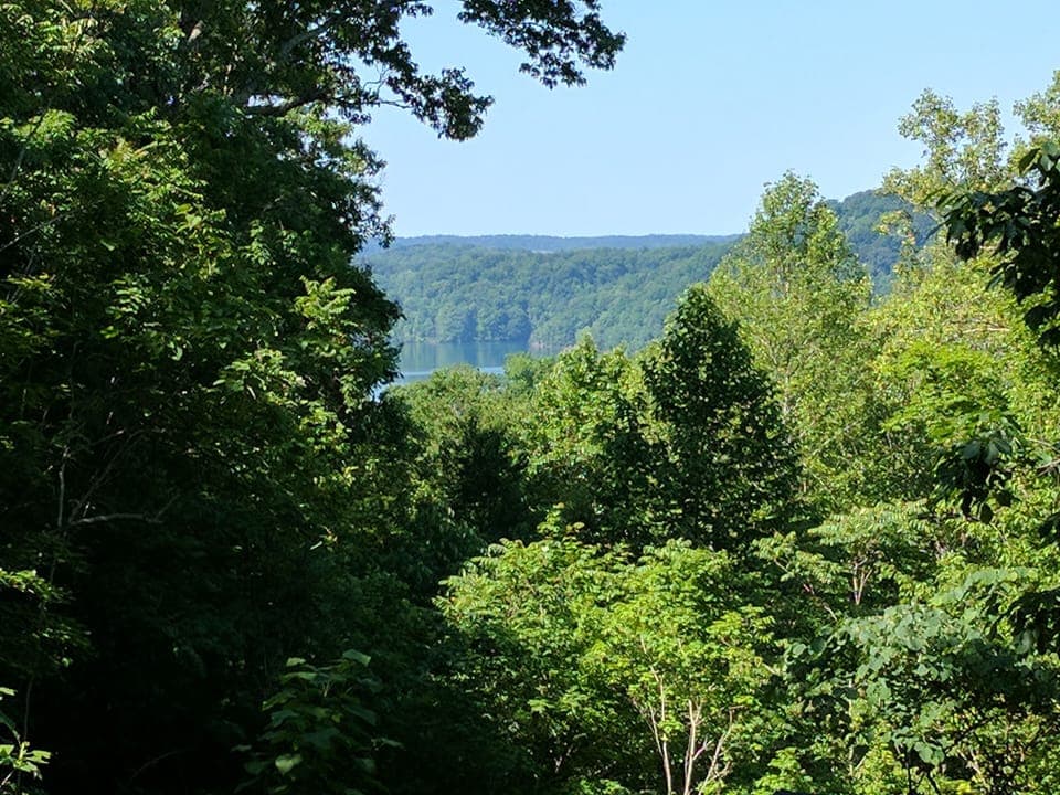 Lake view