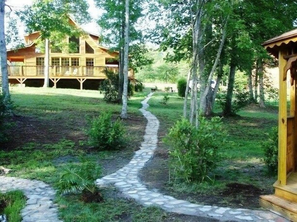 View from the pond