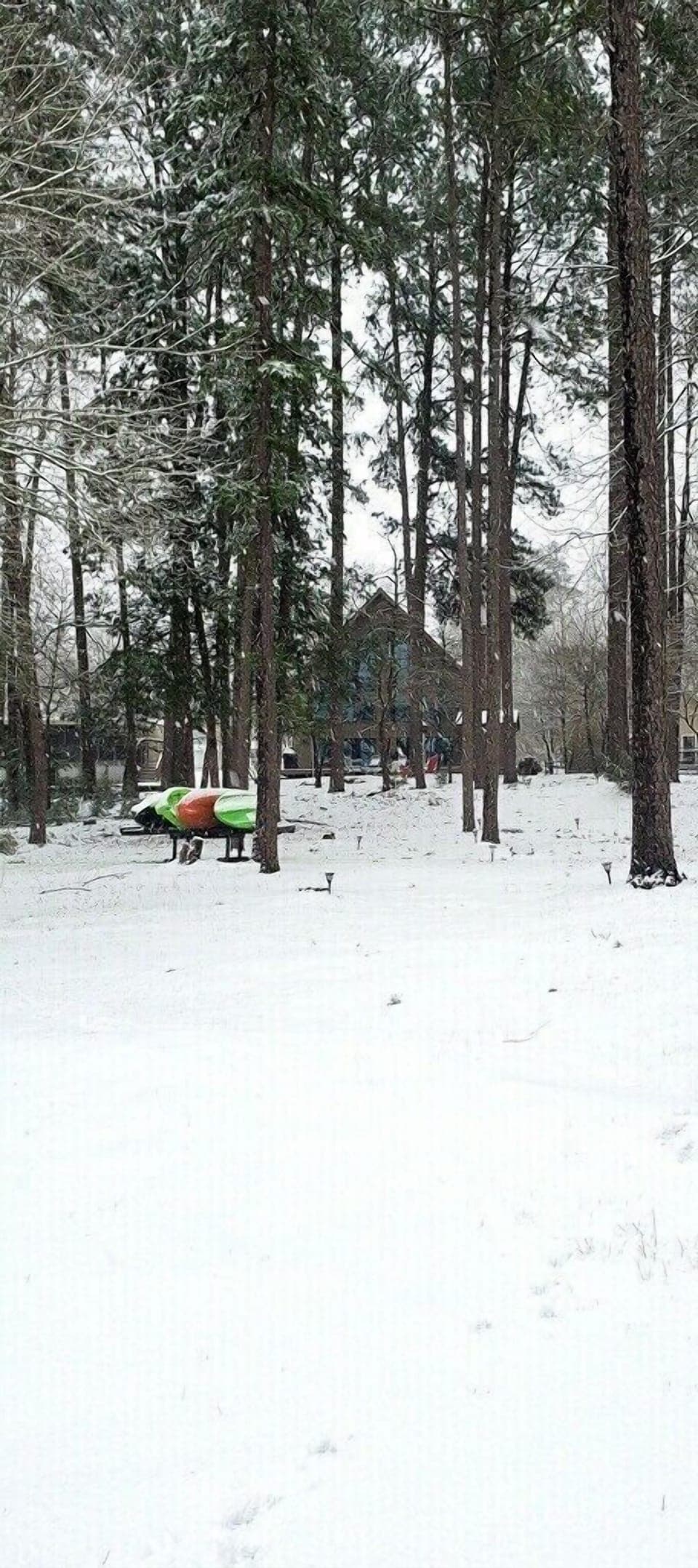 Snow and ski sports