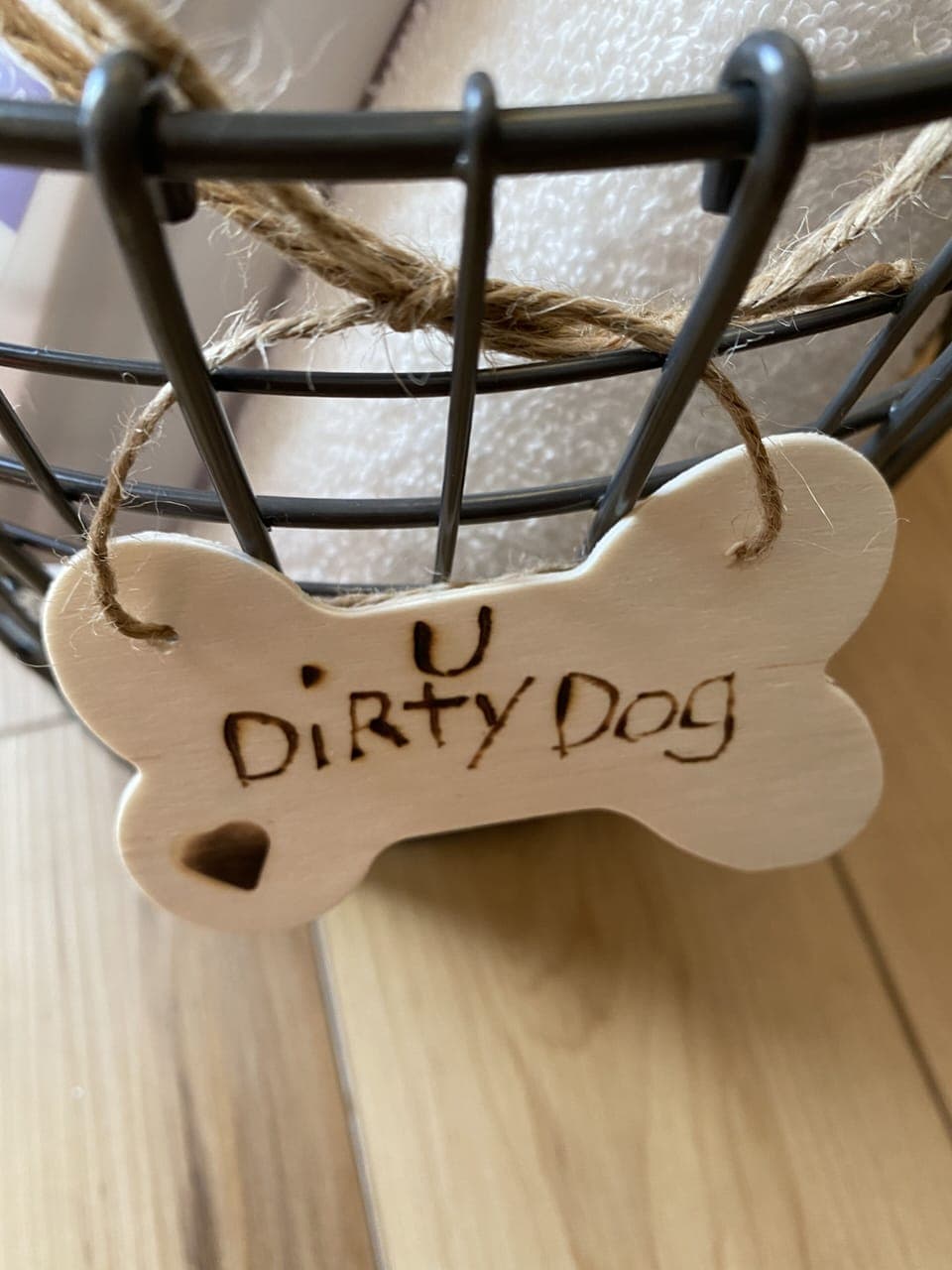 Dogs Welcome