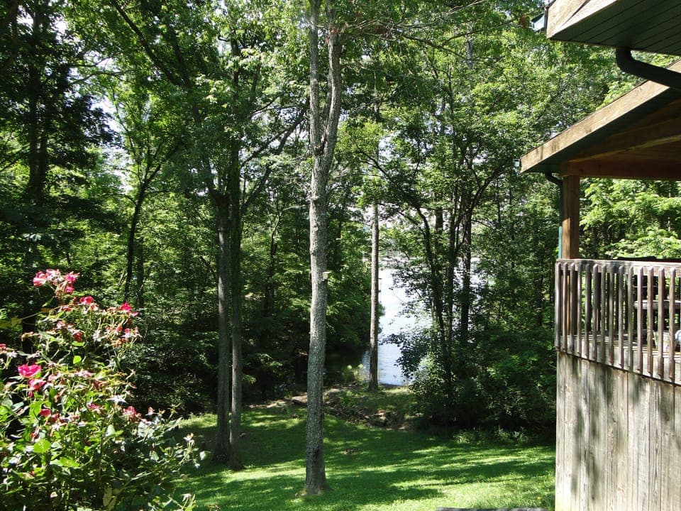 View from under the carport area.
