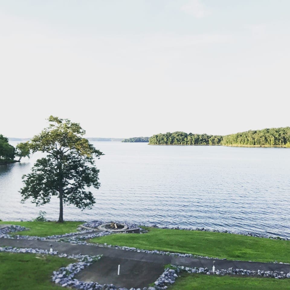 View from the patio