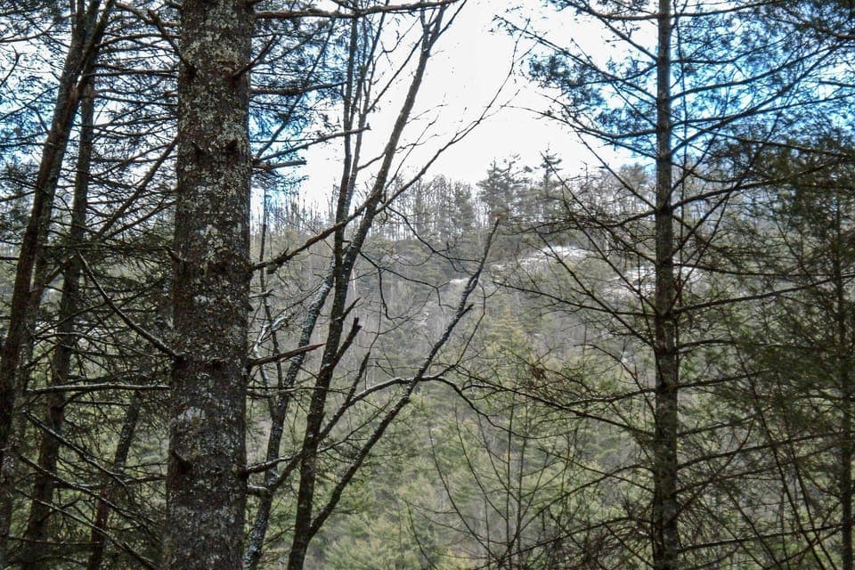 Cabin Views