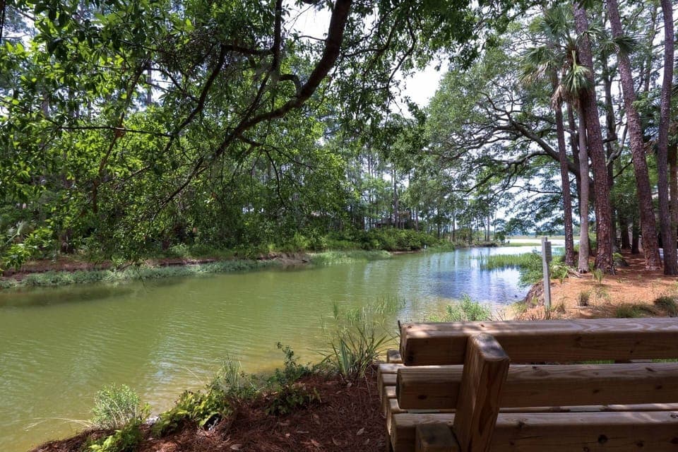 Sprigg's Shack is situated alongside this beautiful tidal creek.