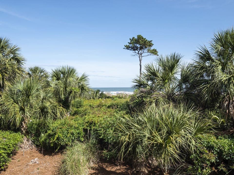 View to Ocean