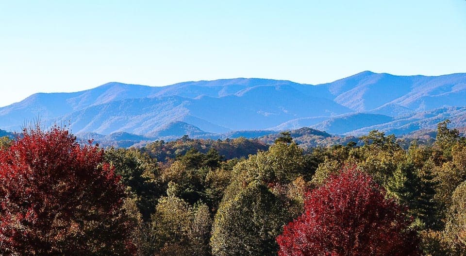 Incredible View from Lower Drive