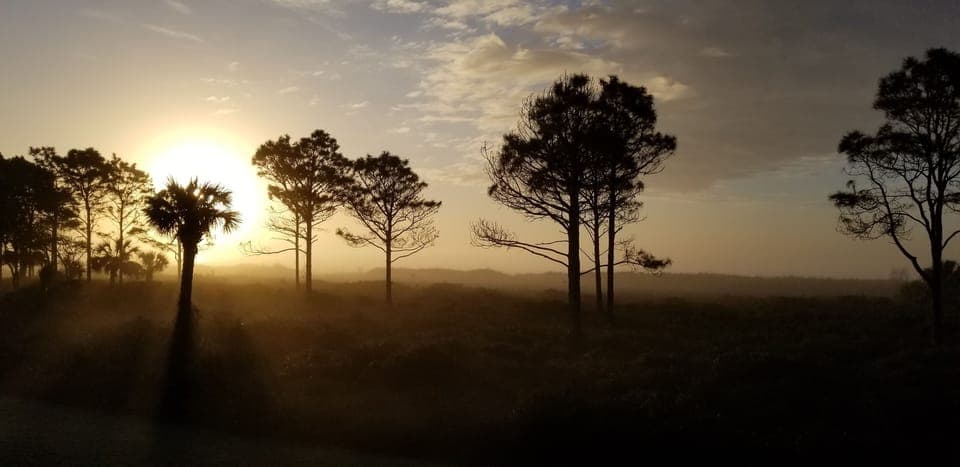 Morning glory. Early sunrise views directly from our window.