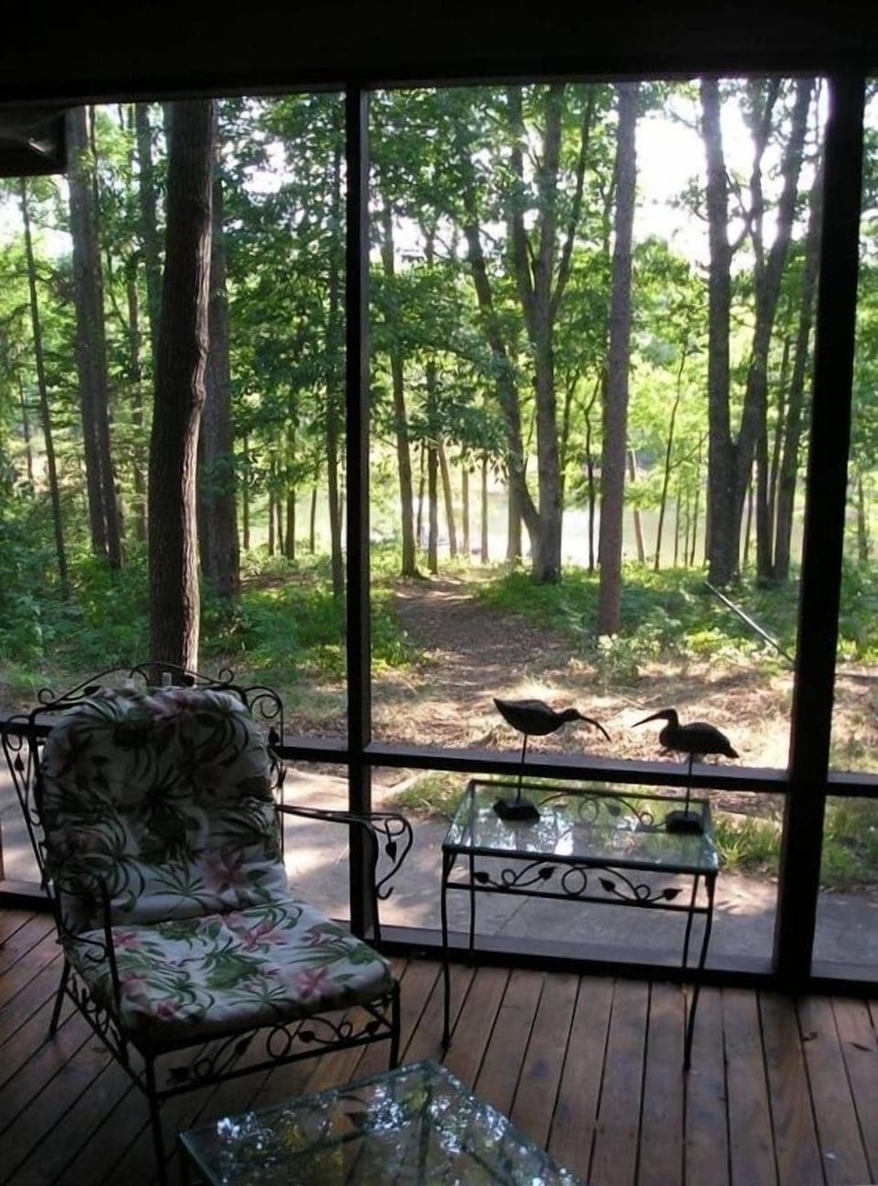 View from Deck and Screen Porch