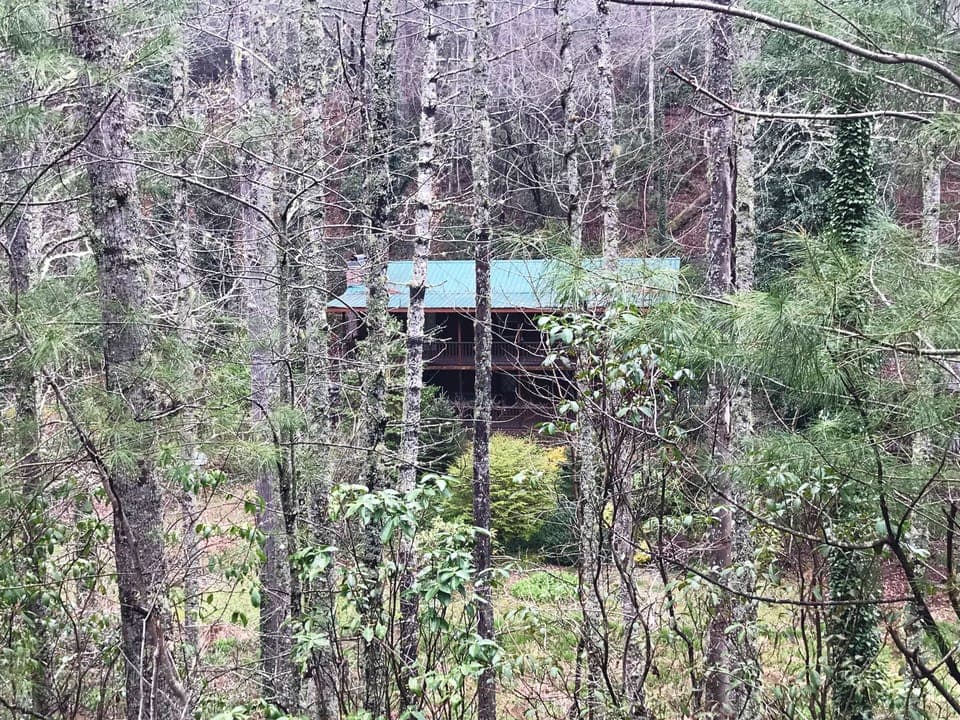 View of home from Santeetlah Rd.