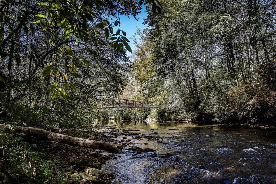 Davidson River View 