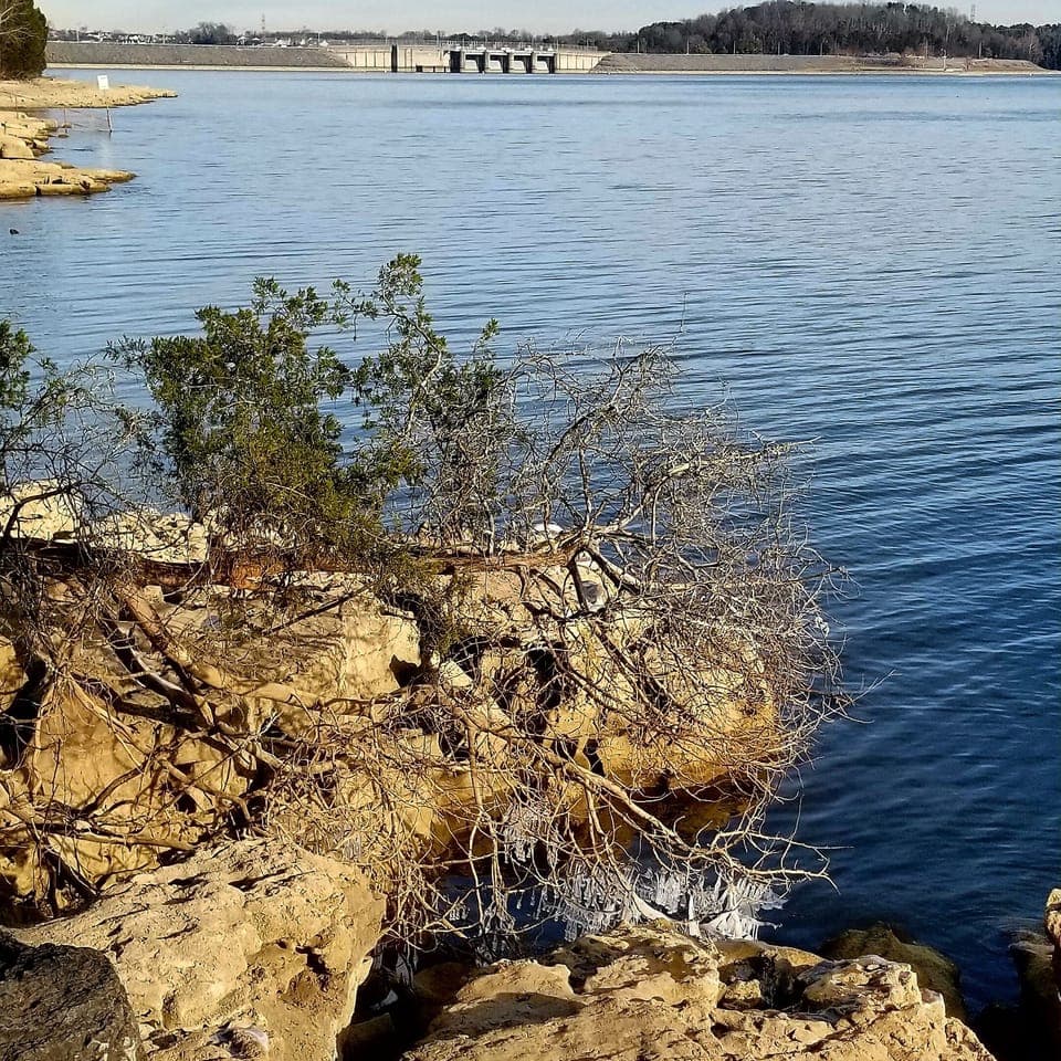 Percy Priest Lake
