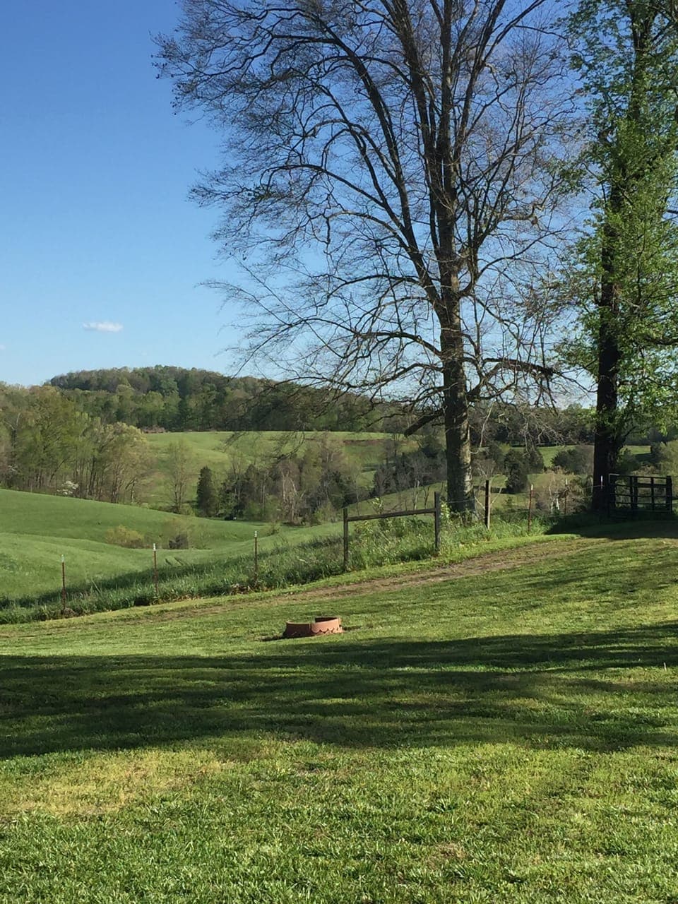 View from cabins