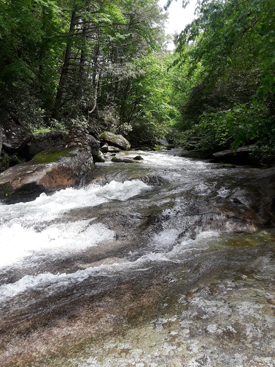 beautiful stream in the nearby area