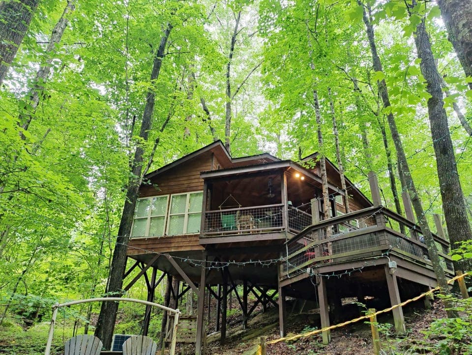 Welcome to the Eagle Treehouse