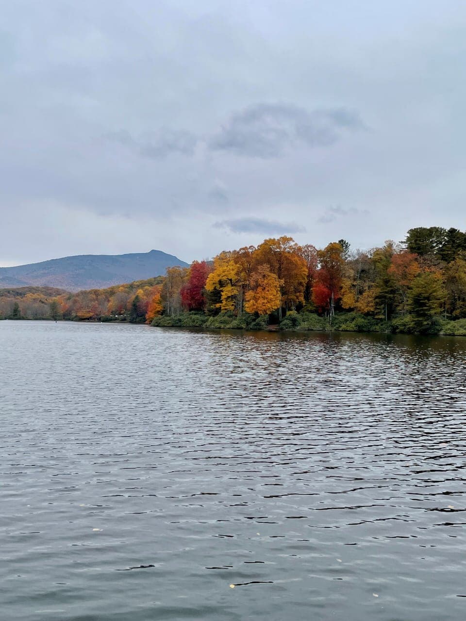 Lake Beauty