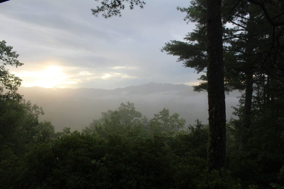 Front Porch View