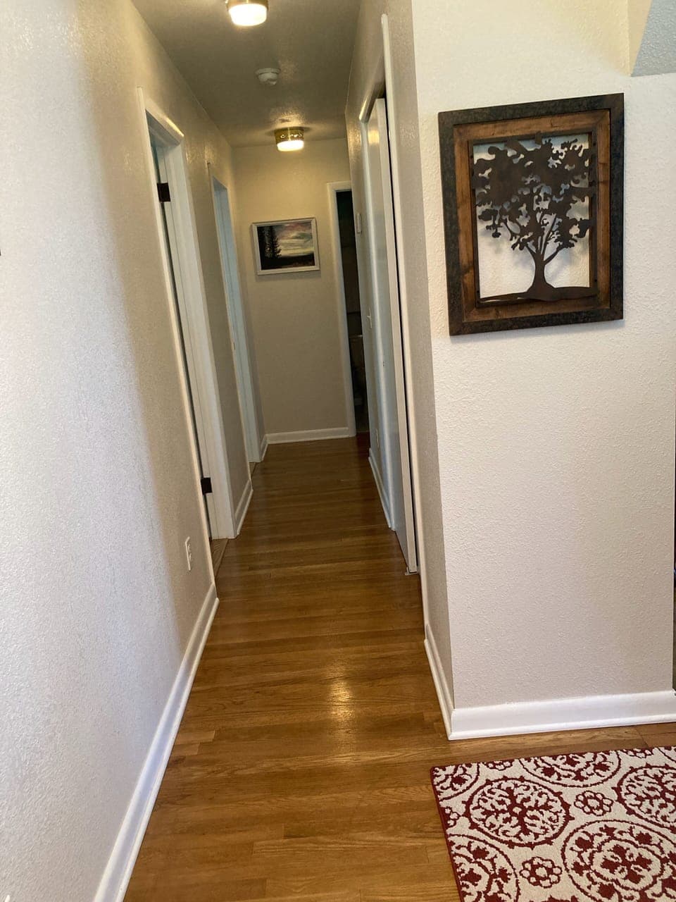 Hall view as you enter the house