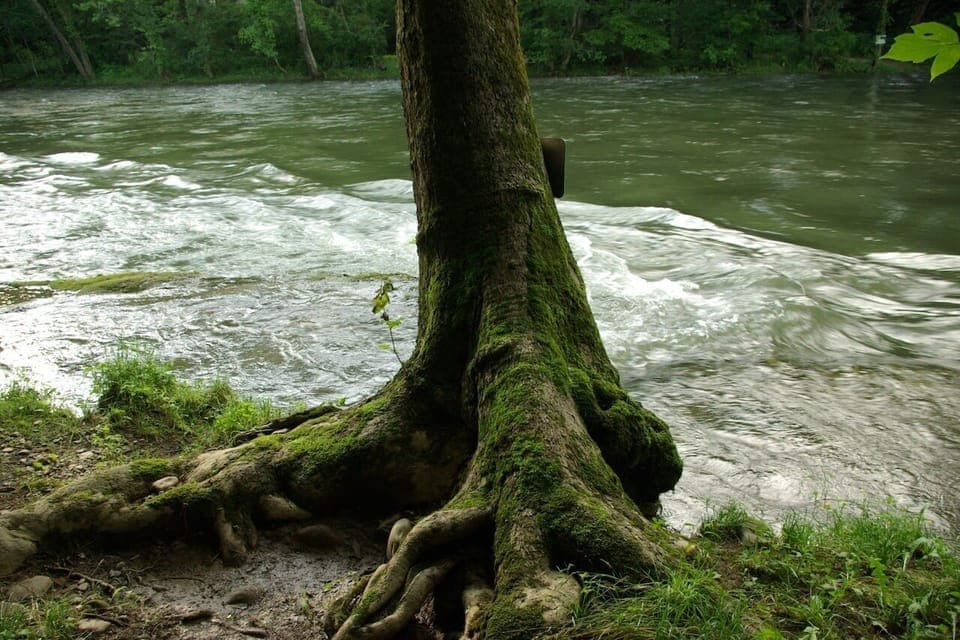 Down by the river