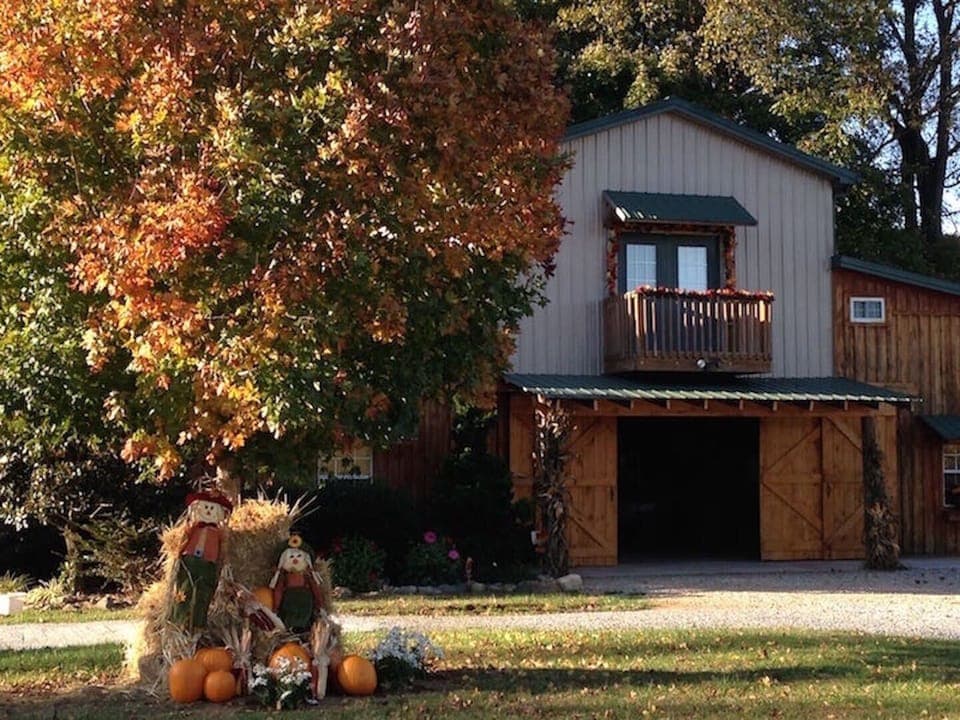 Front view/Fall