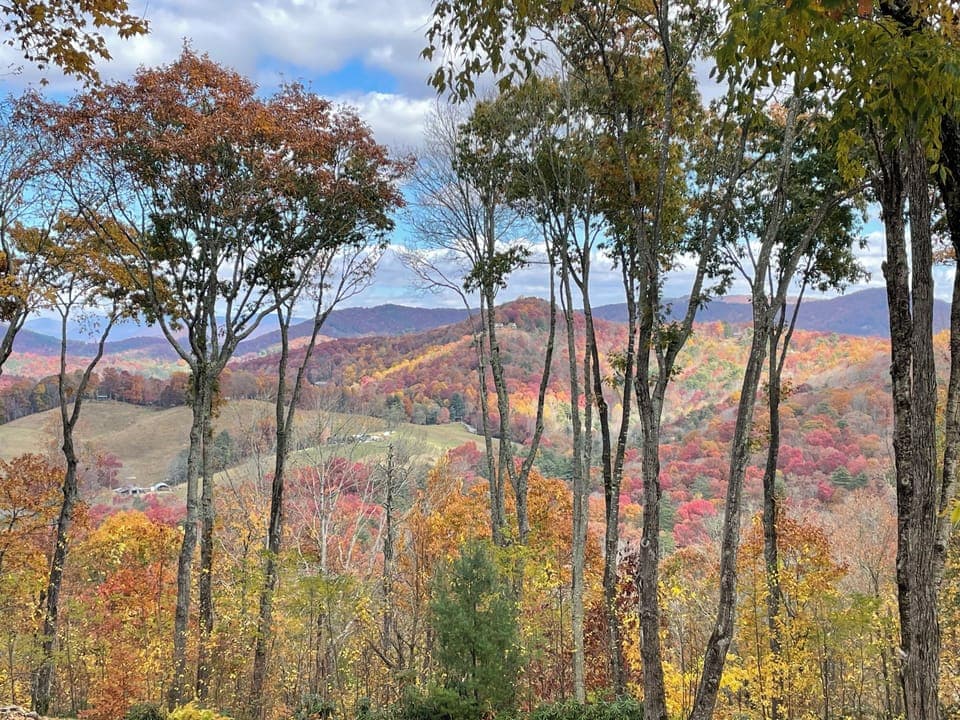 View from deck in the fall