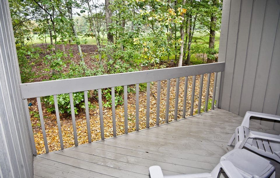 View from back deck