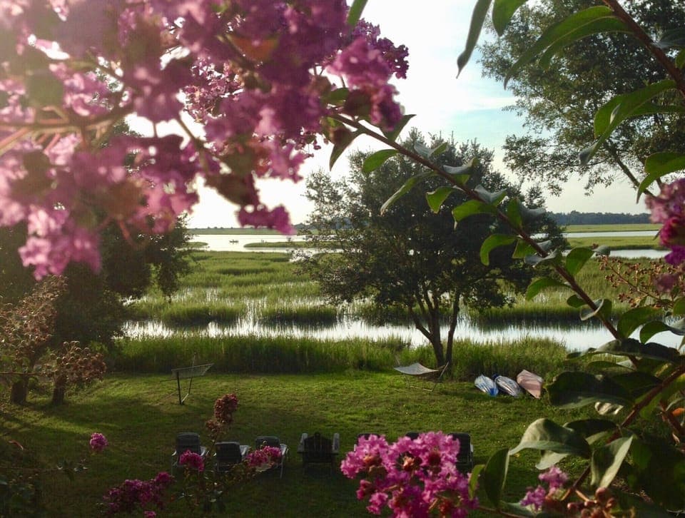 Crepe Myrtles, oak trees, palm trees, egrets, seagulls,  and our serene Marsh. 