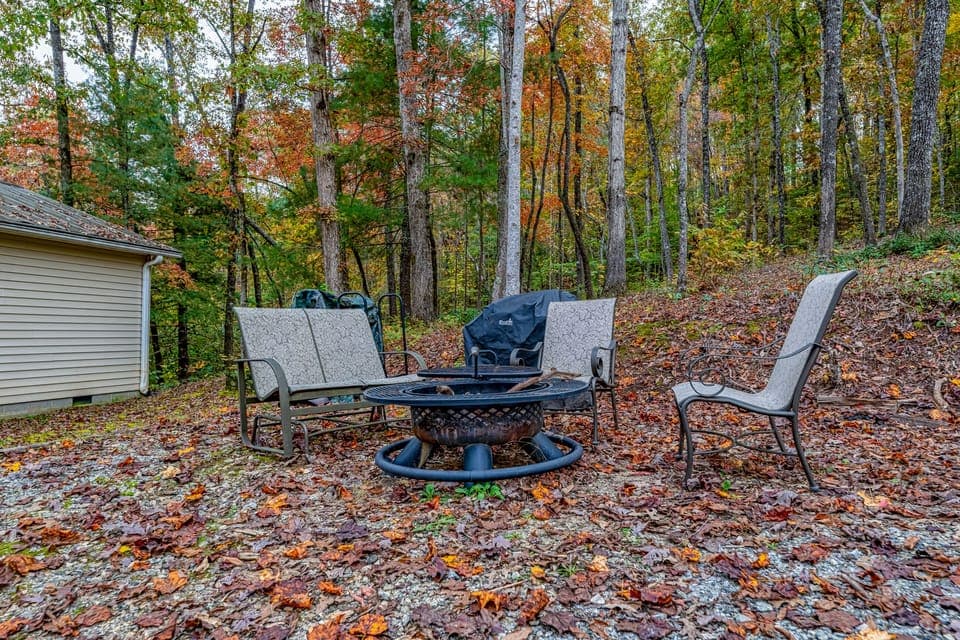 Fire pit, gas grill and charcoal grill, we do provide the wood for your use. 