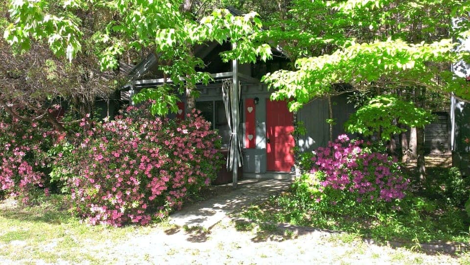 Front Door View of Cabin during summer
