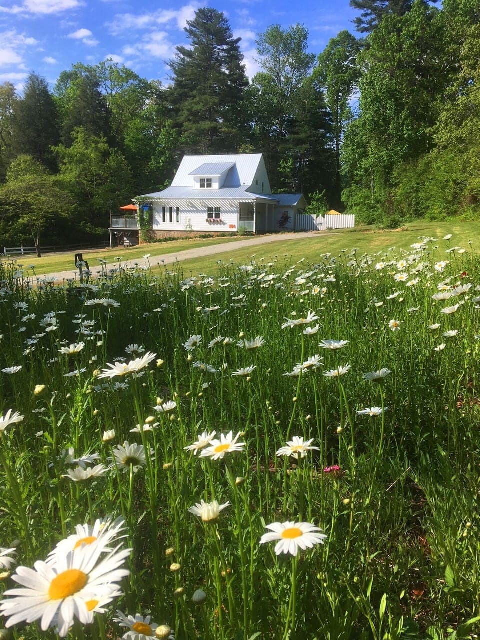 The Farm House
