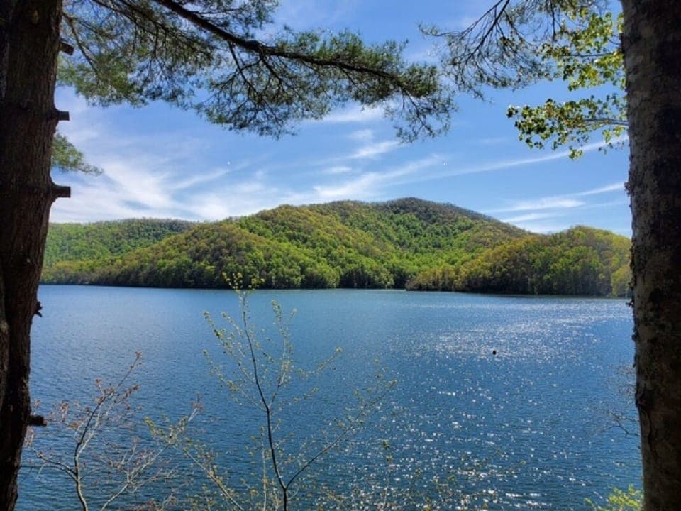 Lake View from Deck