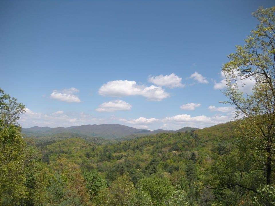 View from the deck
