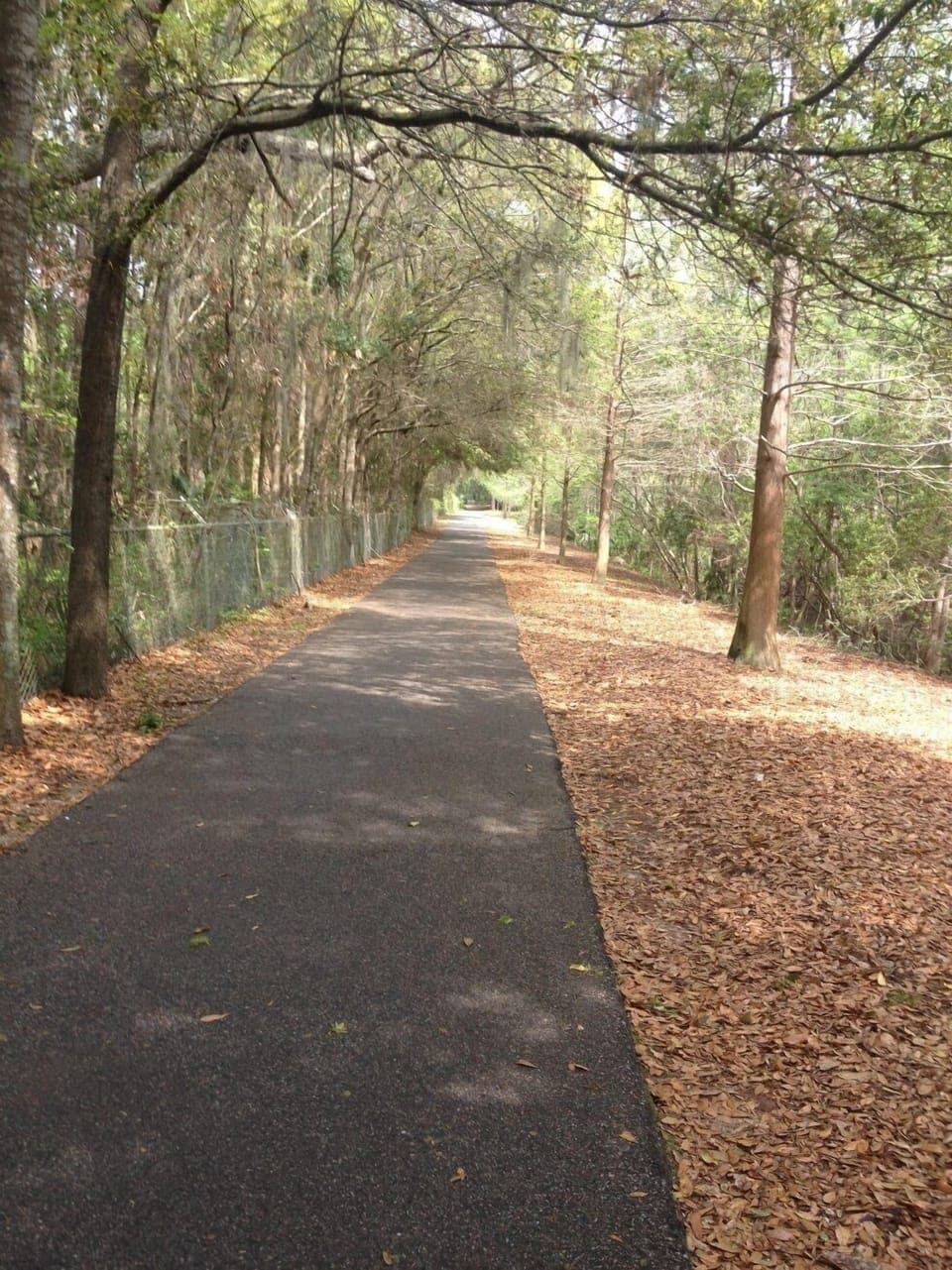 Walkway to the Beach