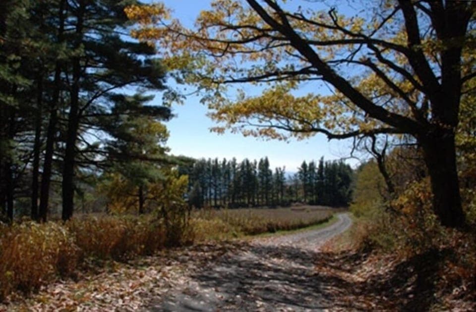 Outside the front door at the top of Grassy Mountain Road