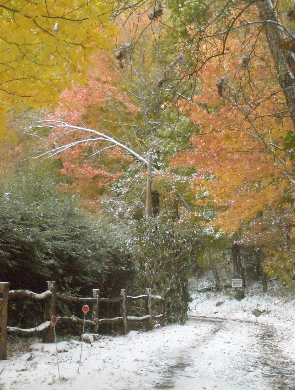 Dusting of snow on our single track road with turnouts to pass 