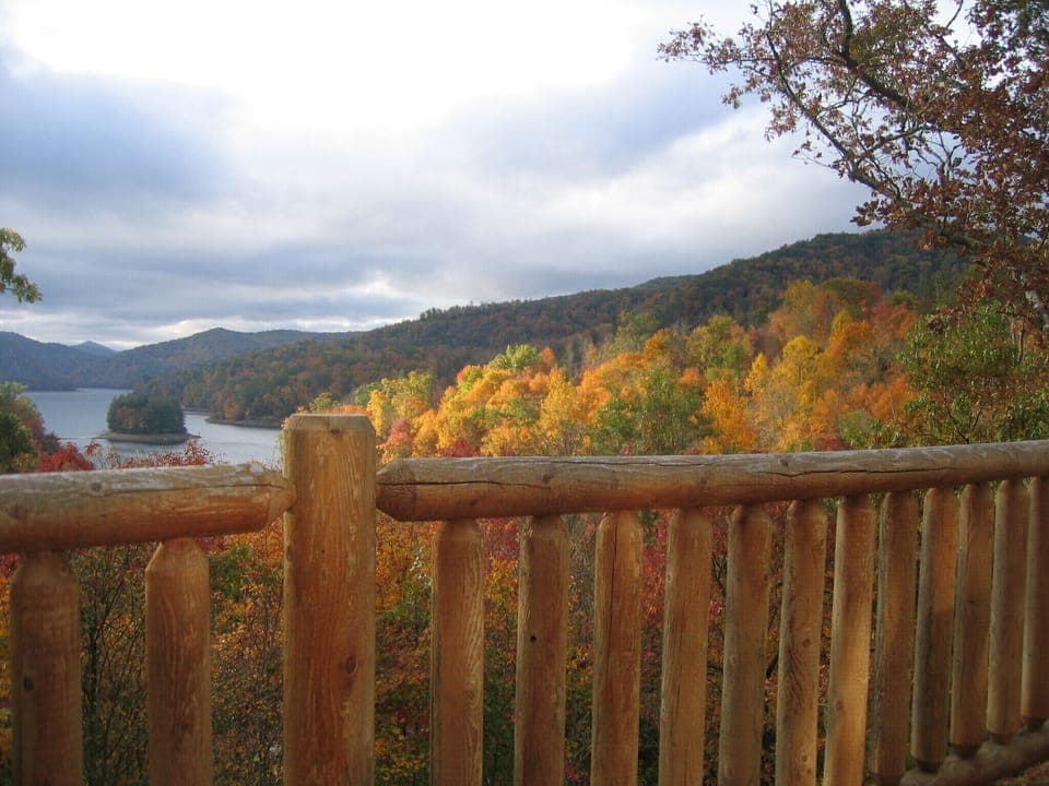 View in fall of Leaves